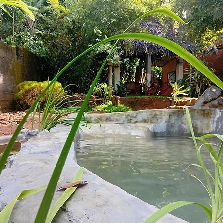 Ancient Gardens Villa Pinnawala  Exteriér fotografie