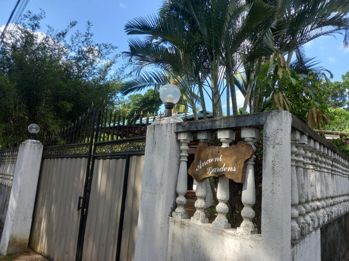 Ancient Gardens Villa Pinnawala  Exteriér fotografie