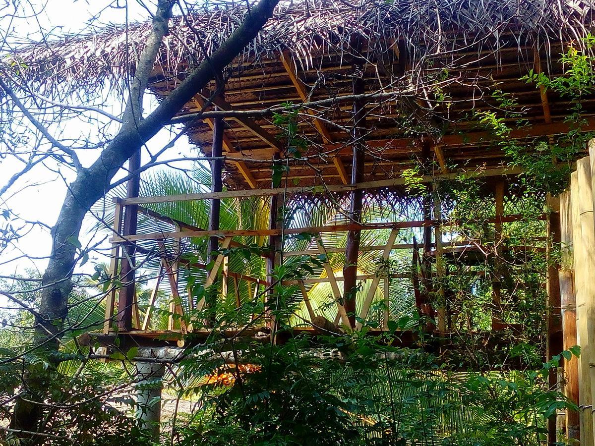 Ancient Gardens Villa Pinnawala  Exteriér fotografie