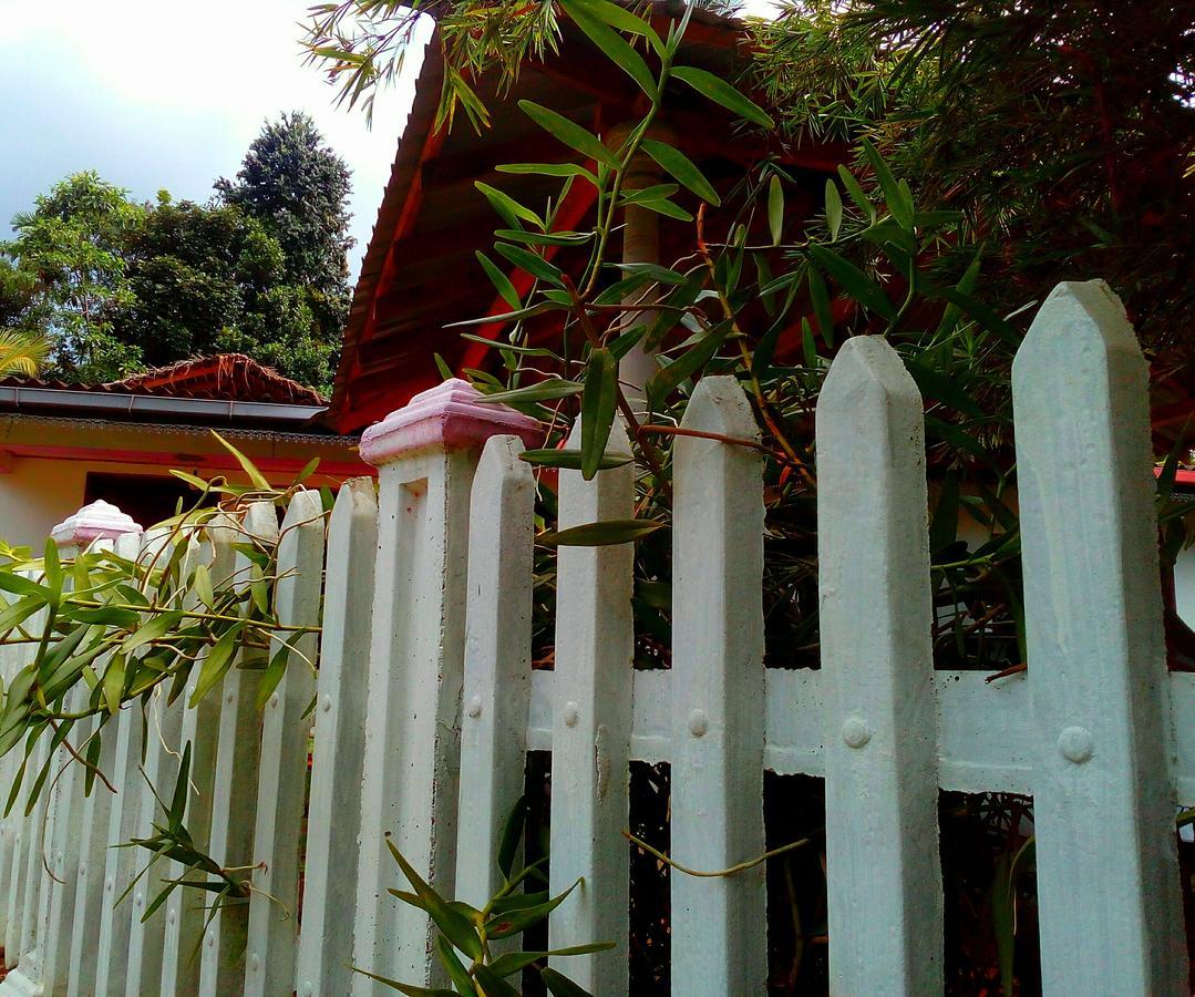 Ancient Gardens Villa Pinnawala  Exteriér fotografie