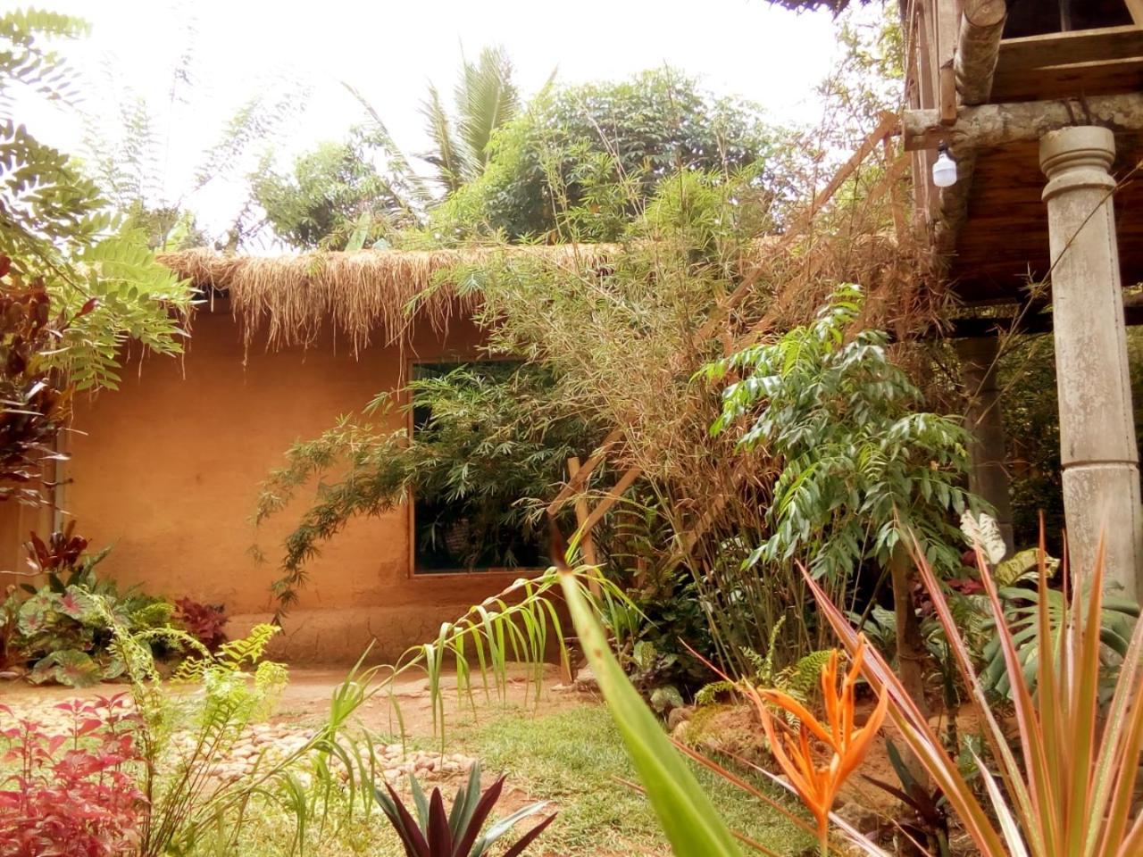 Ancient Gardens Villa Pinnawala  Exteriér fotografie